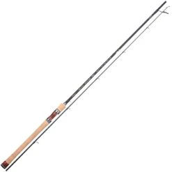 CANNE SPINNING TENRYU RAYZ SPECTRA 77 MMH