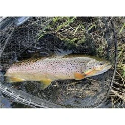 Berkleye Boutique -Berkleye Boutique cuiller tournante stucki fishing brauen pearl 2 6g z 2739 273961 2