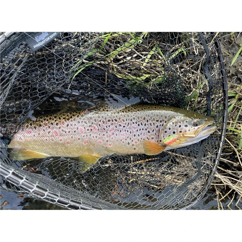 CUILLER TOURNANTE STUCKI FISHING BRAUEN PEARL 2 - 6G 4 CUILLER TOURNANTE STUCKI FISHING BRAUEN PEARL 2 - 6G – Image 2