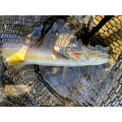 CUILLER TOURNANTE STUCKI FISHING BRAUEN PEARL 2 - 6G 8 CUILLER TOURNANTE STUCKI FISHING BRAUEN PEARL 2 - 6G -Berkleye Boutique cuiller tournante stucki fishing brauen pearl 2 6g z 2739 273961 3