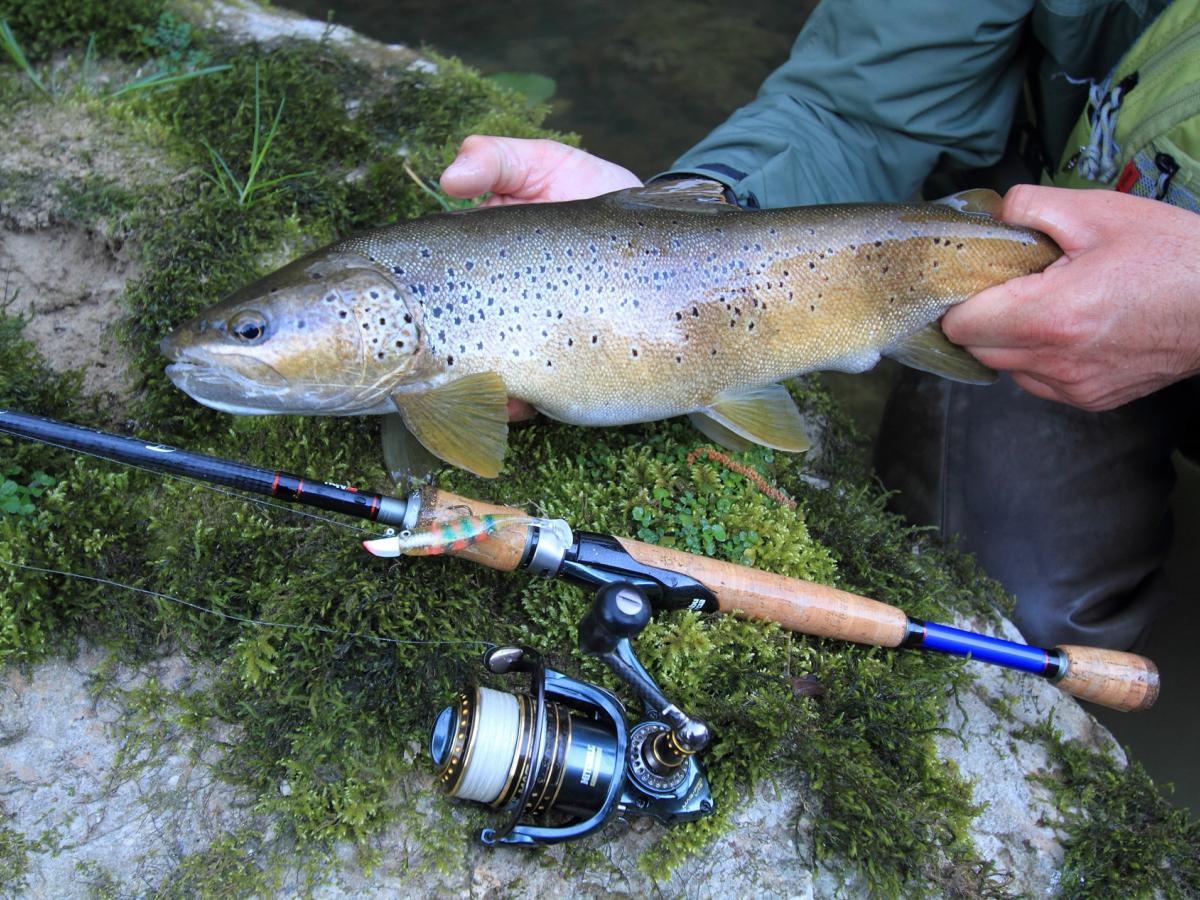 Berkleye Boutique -Berkleye Boutique 1200h900o ouverturedossier