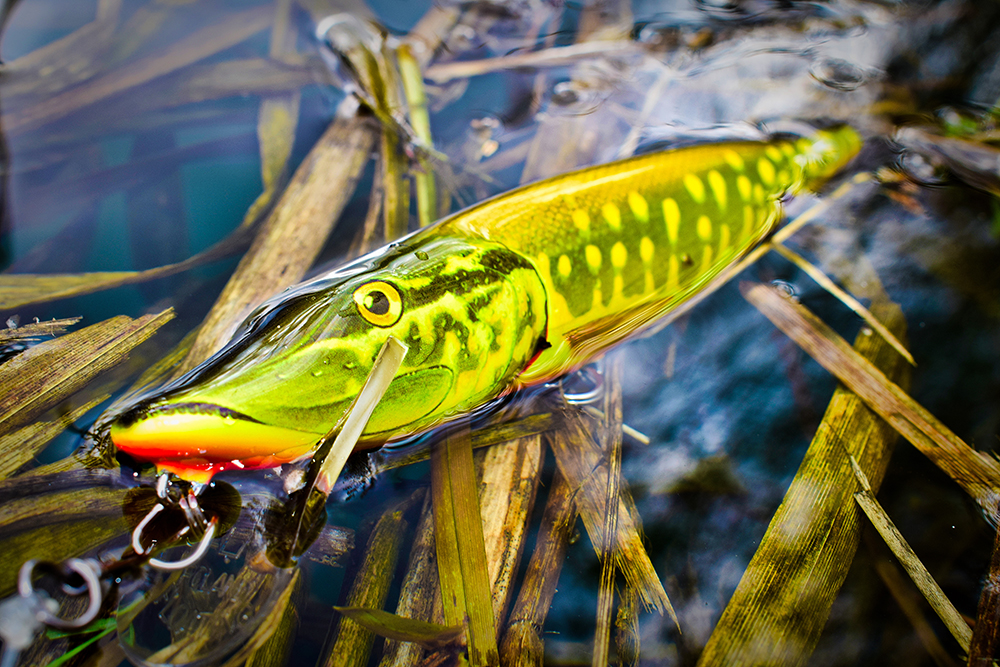 Berkleye Boutique -Berkleye Boutique dsc 0040 1